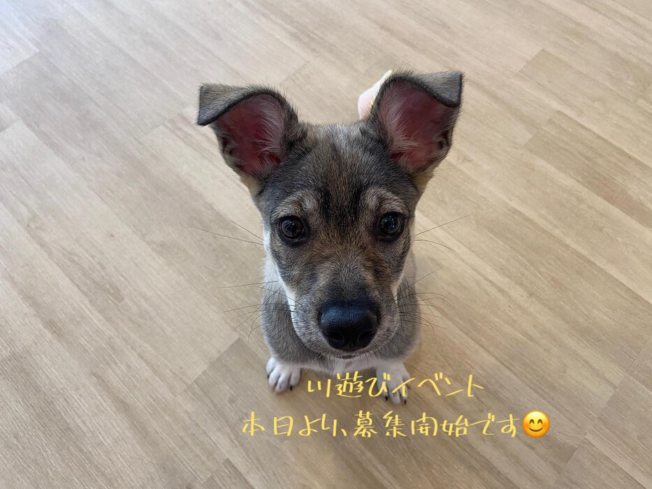 画像560