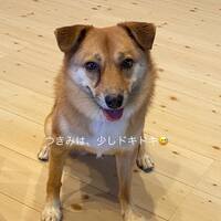 画像625