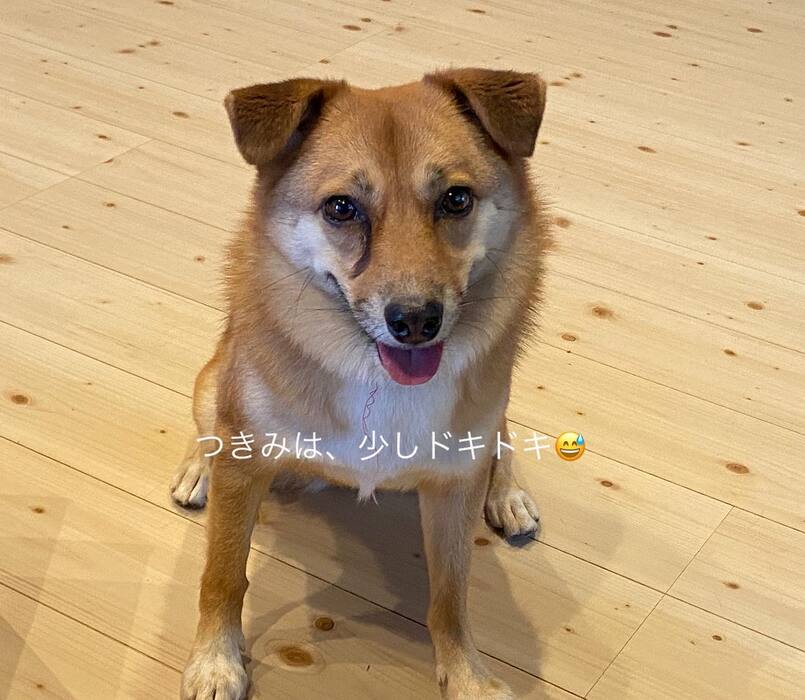 画像625