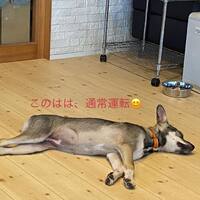 画像626