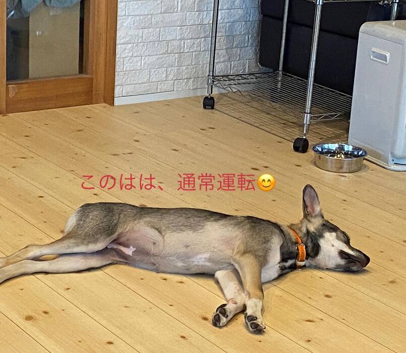画像626
