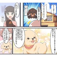 画像706