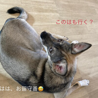 画像965