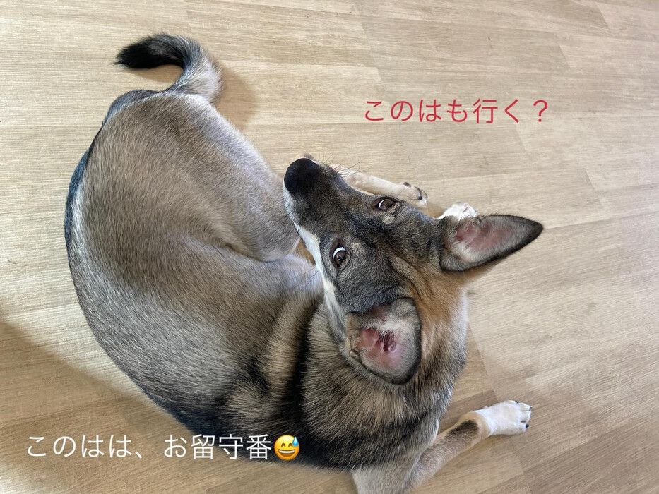 画像965