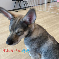 画像967
